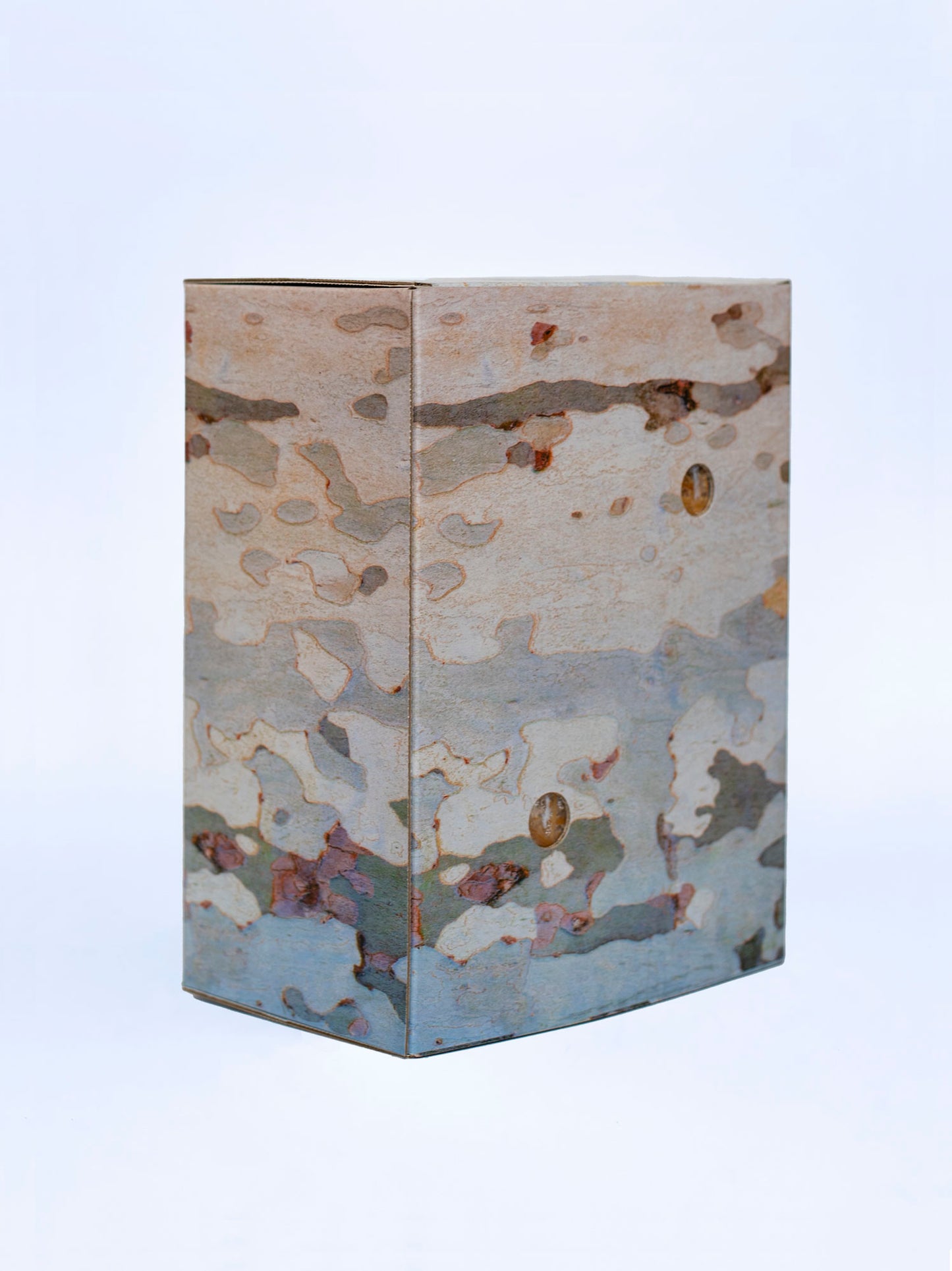 The morro bay oyster mushroom grow kit.