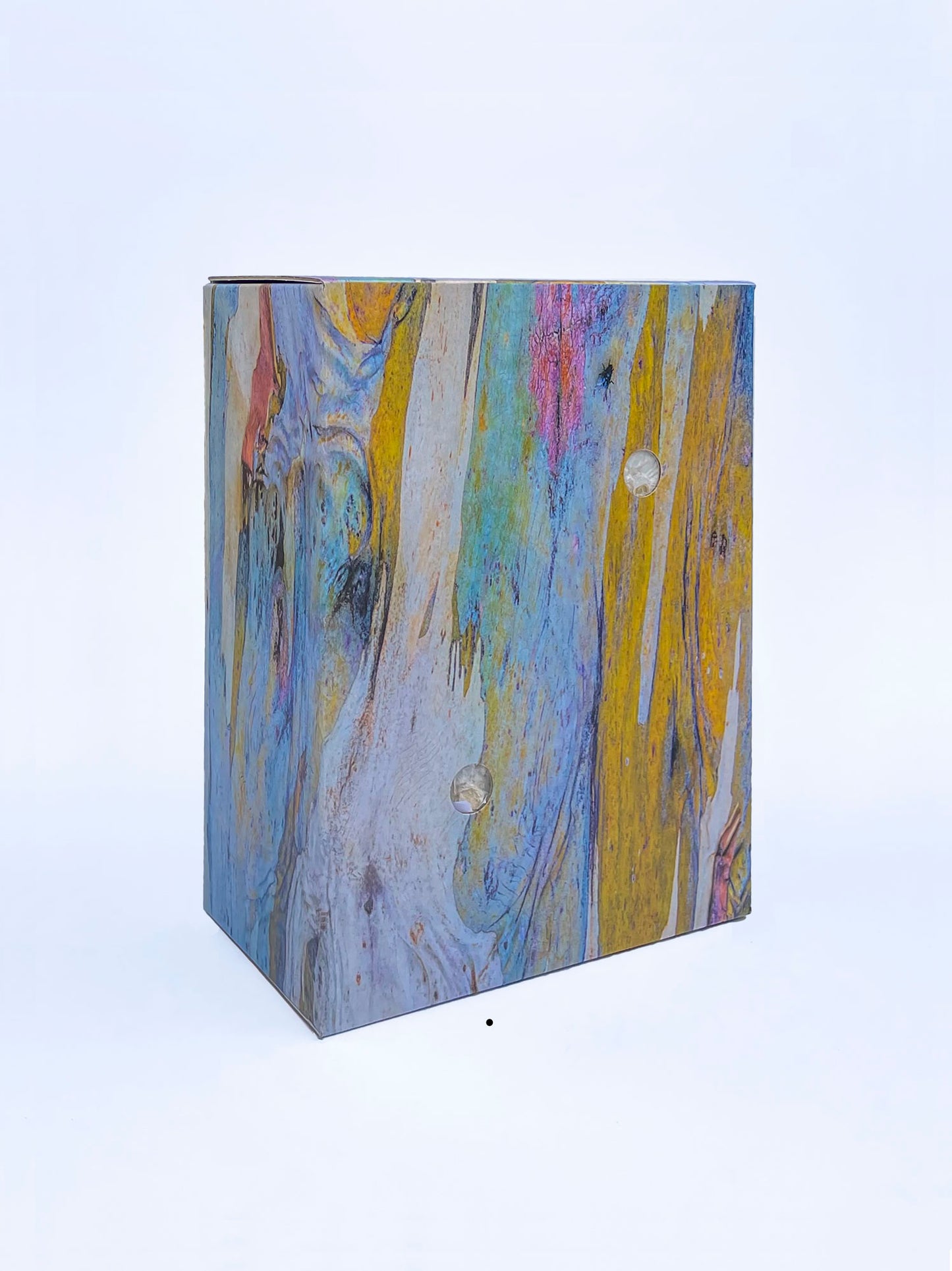 The sunset point oyster mushroom grow kit.