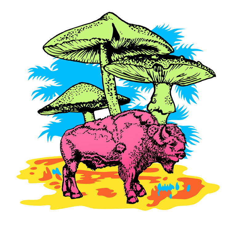 Pink Buffelo Face The Power of Functional Mushrooms – Pink Buffalo Organics