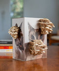 Blue oyster mushroom grow kit on a box with a cat side